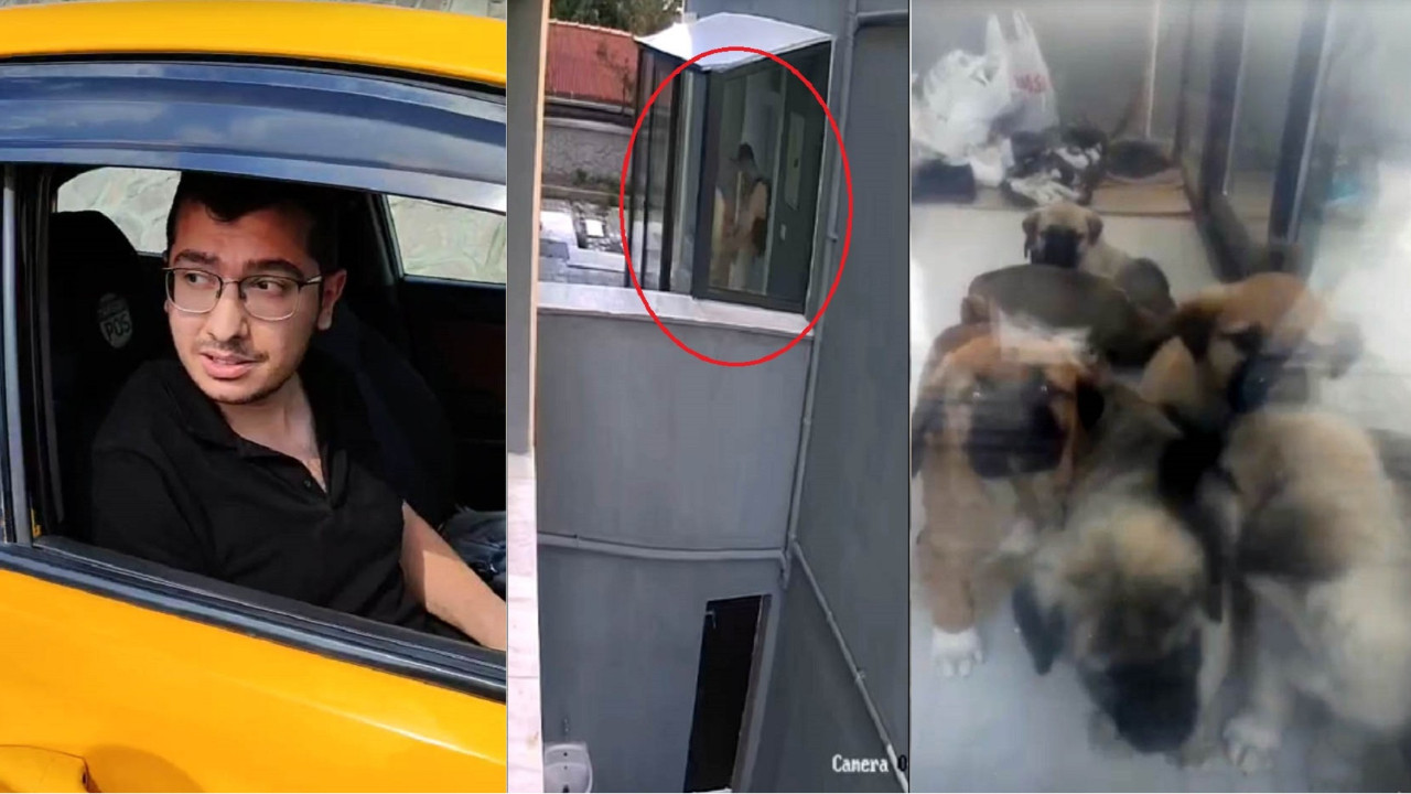 Ankara vahşeti: Katil doktorun sahiplenme bahanesiyle öldürdüğü köpeklerin sayısı 26’ya yükseldi