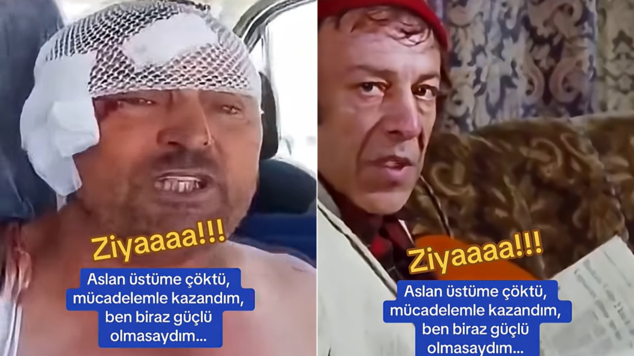 Siz bir de aslanın halini görün: Antalyalı aslan avcısı akıllara meşhur Ziya karakterini getirdi