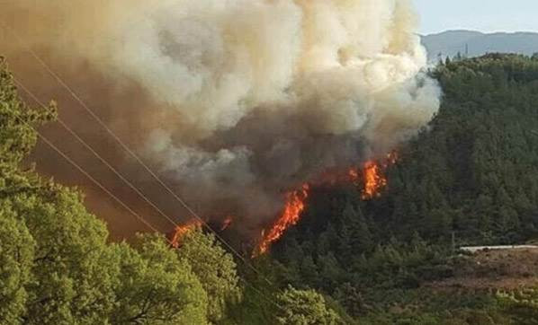 HDP'den orman yangını özrü - Resim: 1