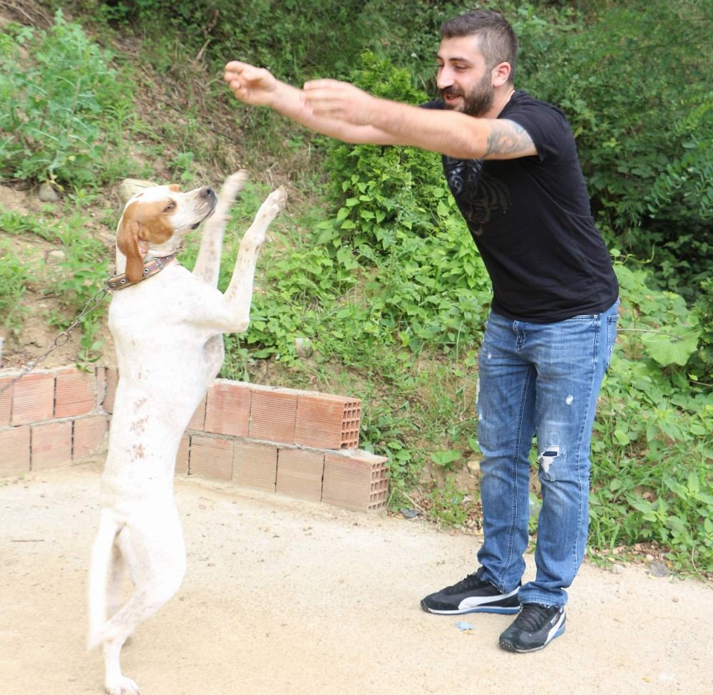 Kolbastı oynayan köpek görenleri şaşırtıyor