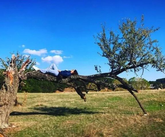 Istanbul U Terk Eden Aslihan Gurbuz Nerede Yasiyor Medyafaresi Com Mobil