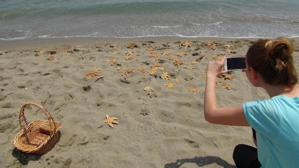 Tekirdağ Kumbağ'da yüzlerce ölü deniz yıldızı karaya vurdu - Resim: 6