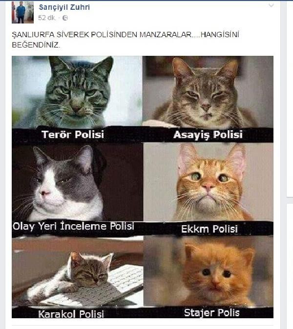 Emniyet Müdürü'nden polisleri 'kedi'ye benzeten paylaşım - Resim: 1