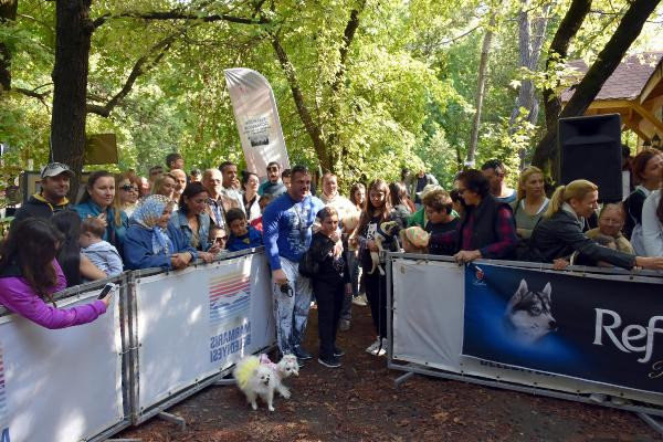 Marmaris'te köpek güzellik yarışması - Resim: 1