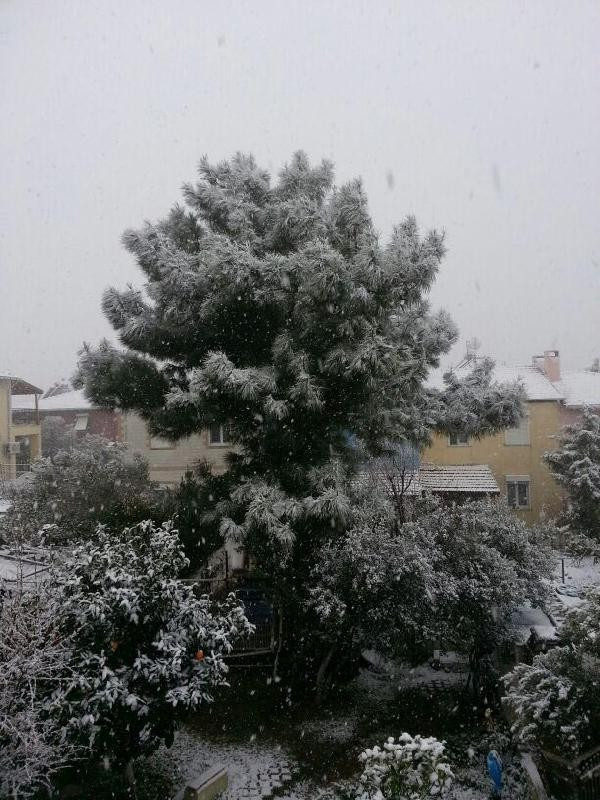 İzmir'den kar yağışı manzaraları - Resim: 6