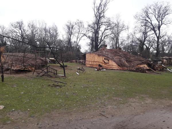 Recep İvedik'in çekildiği ağaç evler nasıl yıkıldı? - Resim: 1