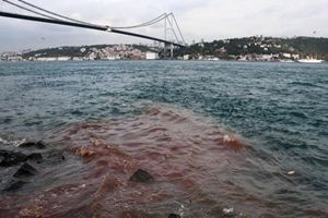 İstanbul Boğazı yine kan gölüne döndü - Resim: 2