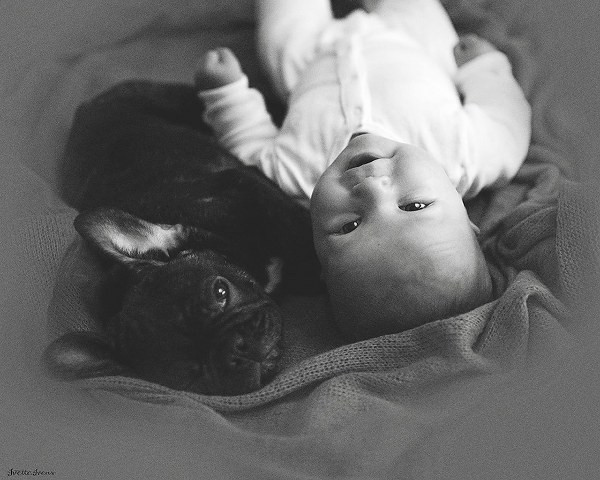 Birbirini kardeşi zanneden bebek ve köpek! - Resim: 2