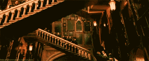 Harry Potter aslında akıl hastanesinde yatan bir deli! - Resim: 2