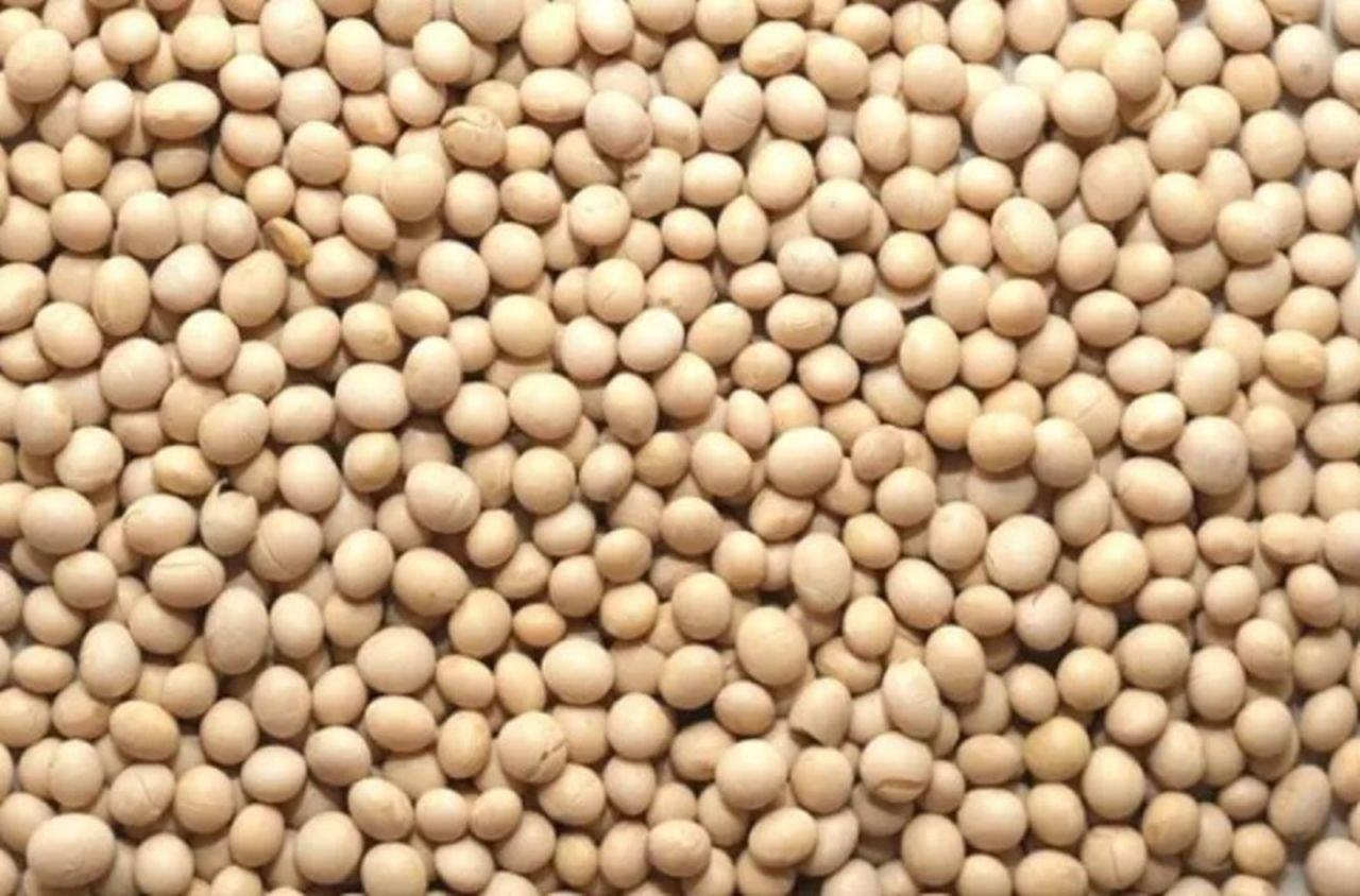 Doğadaki En Güçlü D Vitamini Kaynağı! Girdiği Evde Ömrü En Az 10 Yıl Uzatıyor
