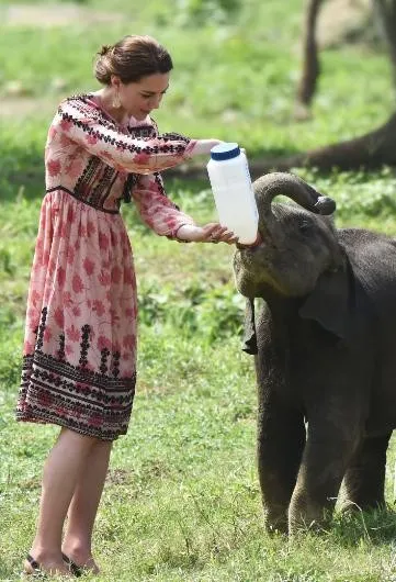 Kate Middleton o kadar masum değilmiş