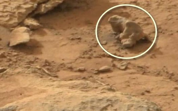 NASA'dan kafa karıştıran ilginç görüntüler