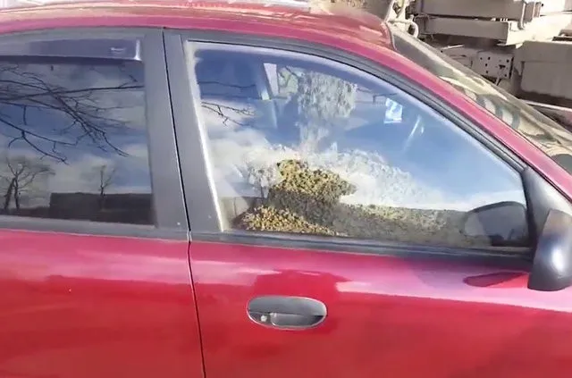 Aldatan eşlerinden intikamları acı oldu