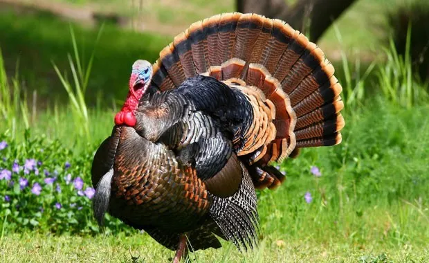 Ölüleri diriltmeye kalkıştılar! Böyle deney yok
