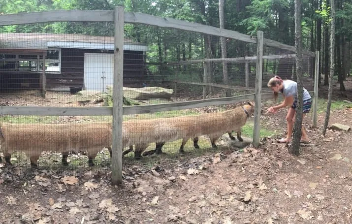Panoramik çekim sırasında ortaya çıkan 19 saçma fotoğraf!