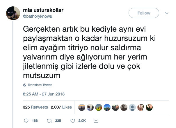 Psikopat kedisinden muzdarip kıza gelen yorumlar kahkahaya boğdu