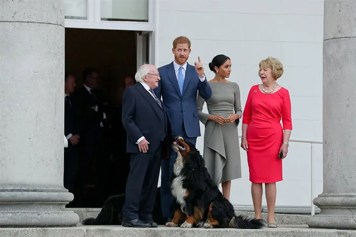 İrlanda'nın dünyayı sallayan tonton başkanı Michael D. Higgins