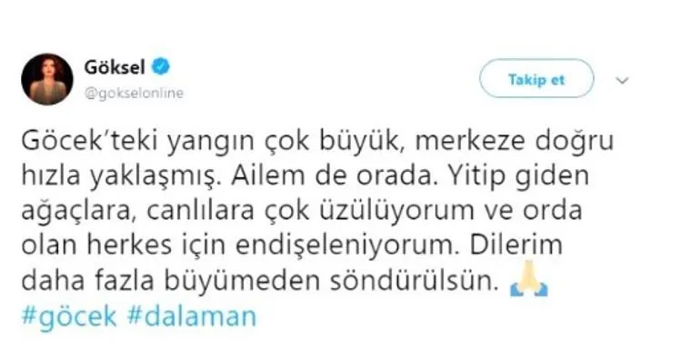 Ünlü isimler yaşanan felakete sessiz kalmadı: İçimiz yandı