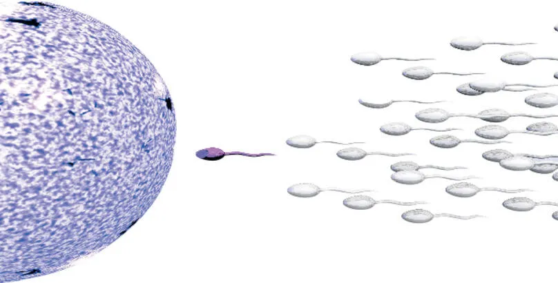 Yapay sperm erkeklerin sonunu mu getirecek?