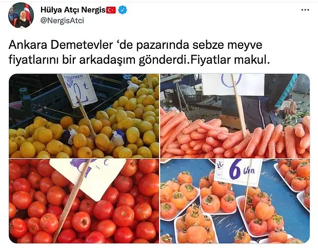 2017 Fiyatlarını Paylaşıp Pazarda Fiyatlar İyi Diyen AKP'li Vekil Hülya Atçı Nergis Alay Konusu Oldu