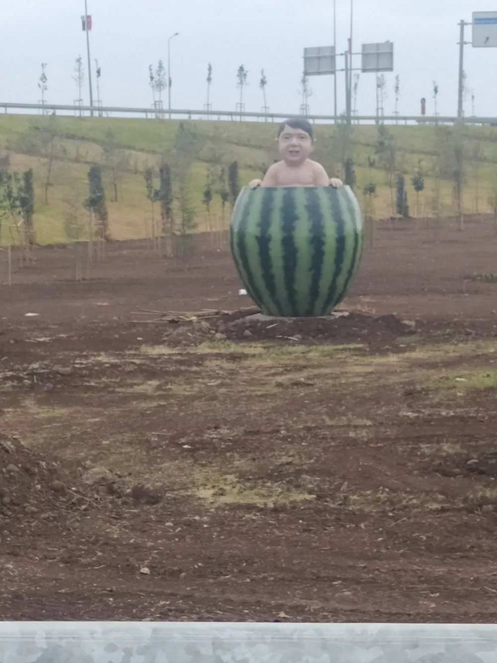 Diyarbakır'da Yapılan Karpuz İçindeki Çocuk Heykeli Herkesi Şaşkına Çevirdi