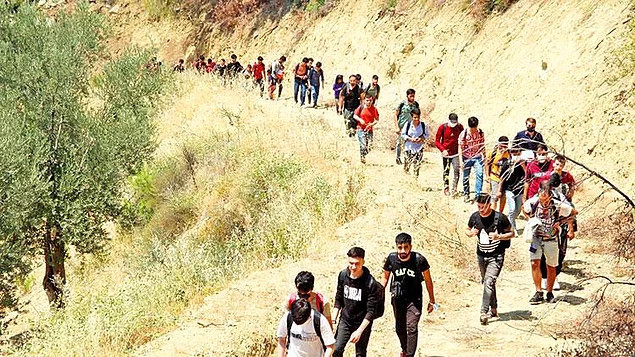 Günde 1000 Afgan Kaçak Yollardan Türkiye'ye Giriyor