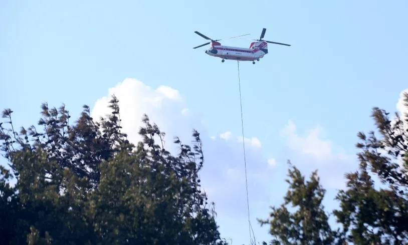 Çanakkale Bayramiç'te Çıkan Orman Yangınından İlk Görüntüler Geldi: İşte O Kareler...
