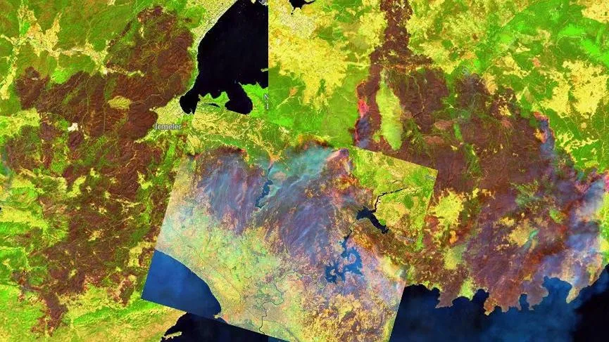 Yanan Ormanların Öncesi ve Sonrası Görüntüleri Yayınlandı