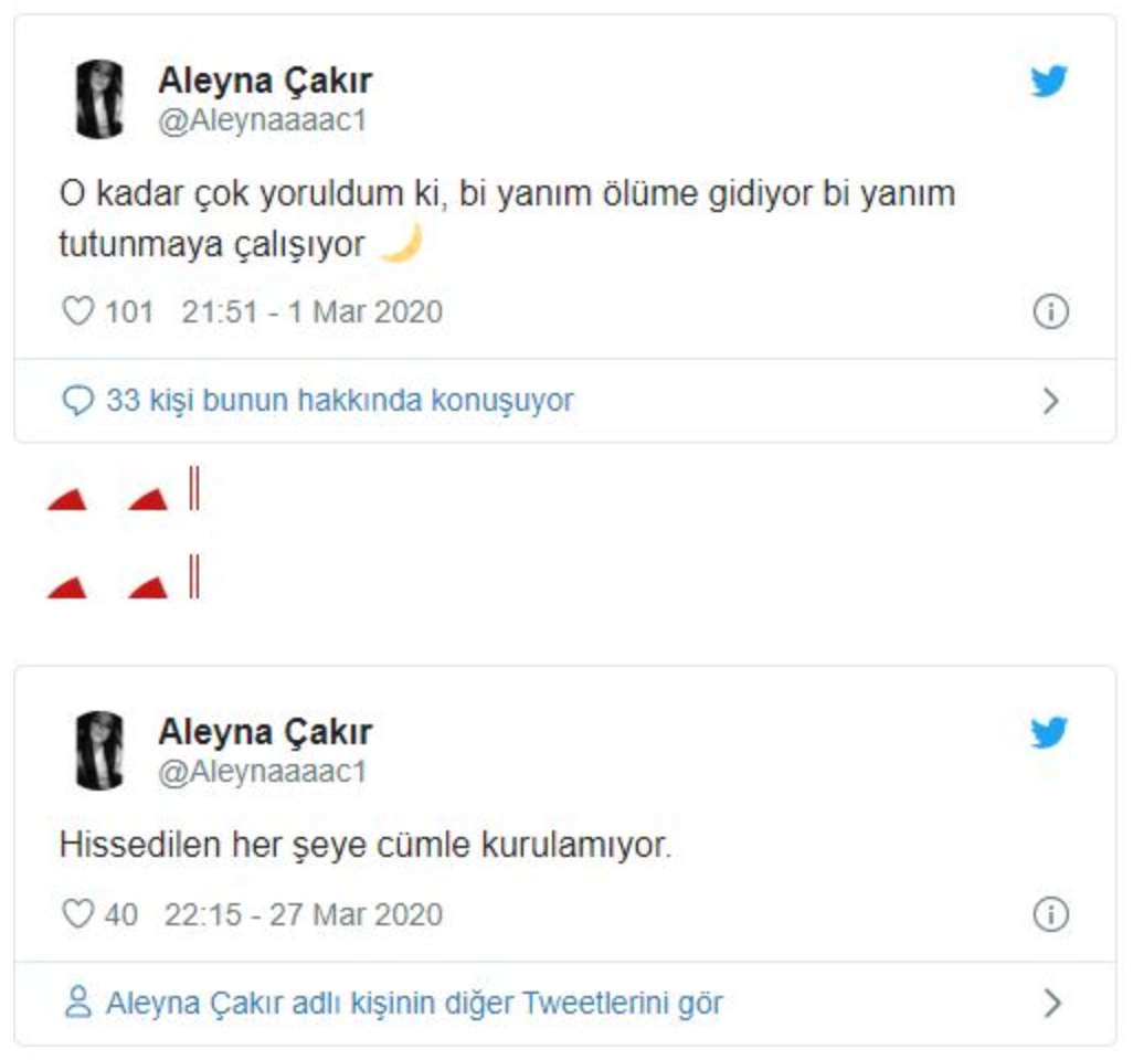 Aleyna Çakır nasıl öldü? Sevgilisi dayaktan bayıltmış.. - Resim: 2