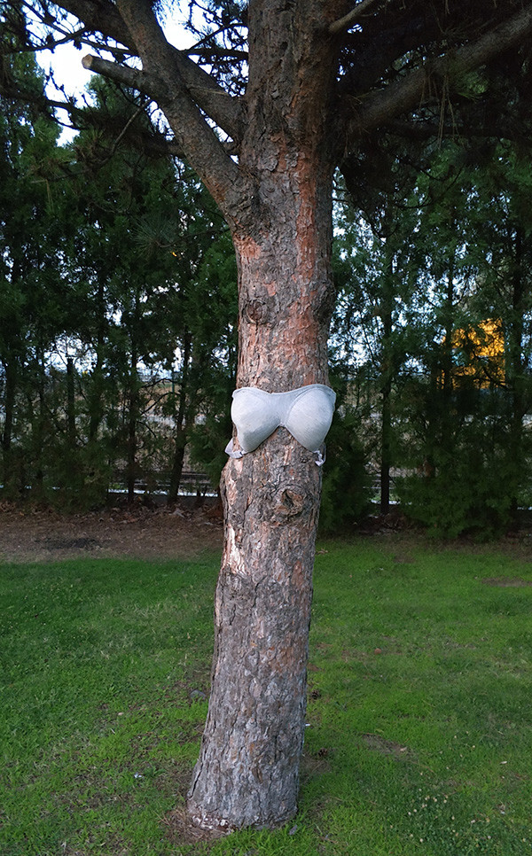Samsun'da ilginç olay: Ağaçlara sütyen astılar! - Resim: 1