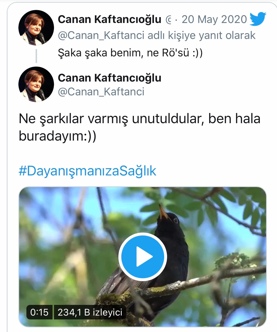 Trollerin saldırısına uğrayan Canan Kaftancıoğlu Twitter hesabını geri aldı - Resim: 2