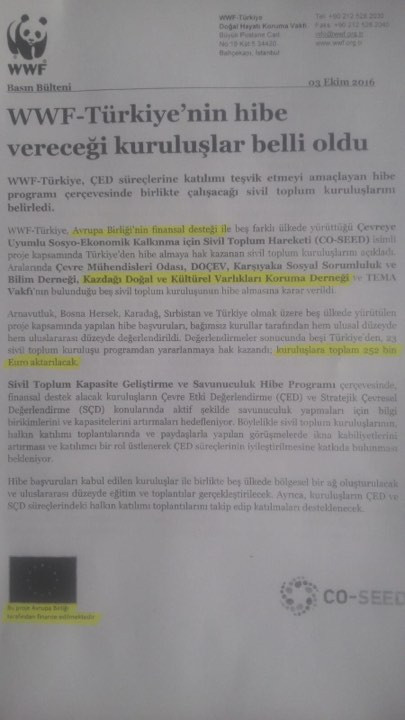 Selin Şekerci: Babamı tanımıyorum - Resim: 2