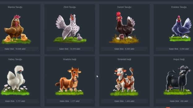 6 soruda Çiftlik Bank: On binlerce kişi nasıl dolandırıldı? - Resim: 1