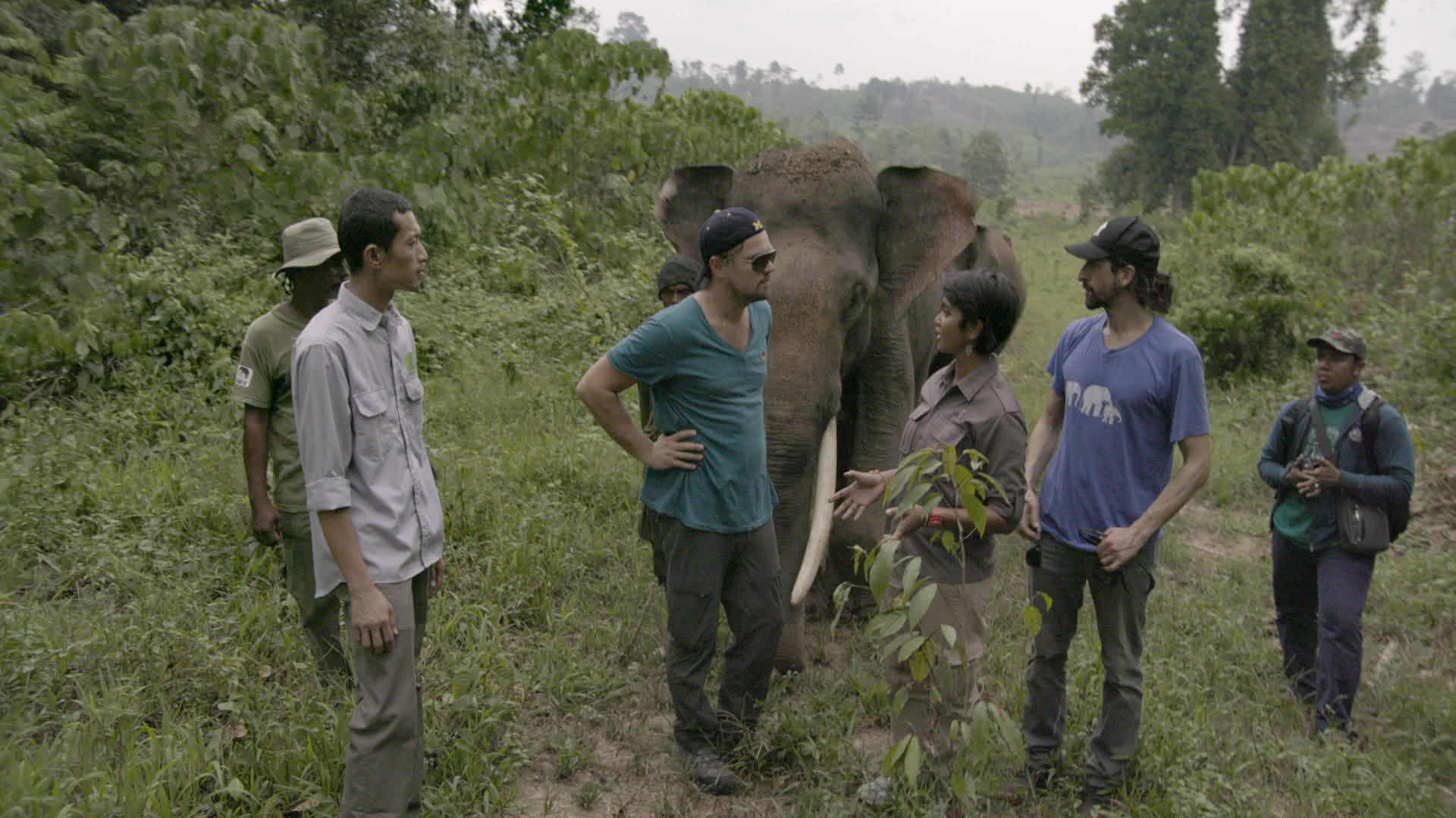 Oscar ödüllü ve izlenme rekoru kıran belgesel 'Tufandan Önce' FOX TV'de - Resim: 1