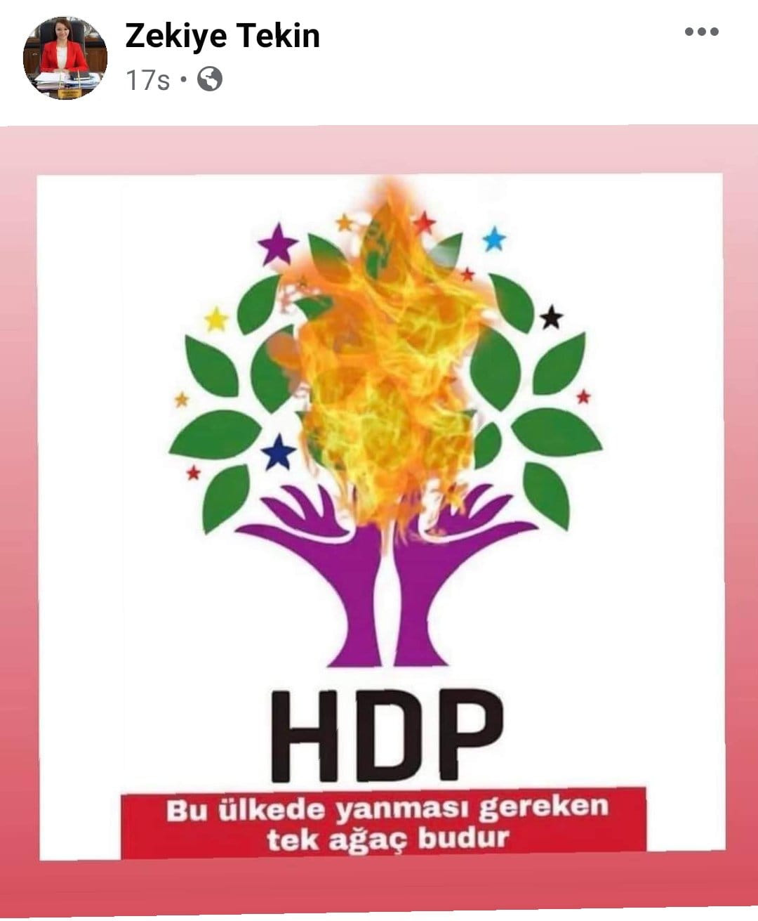 AKP'li Başkan Tekin'den Tepki Çeken Provokatif Paylaşım - Resim: 1