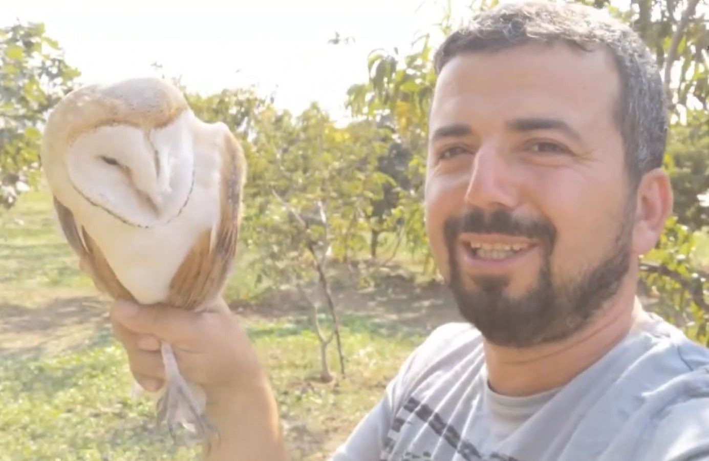 Eve Giren Baykuşu Youtuber Kurtardı! - Resim: 1