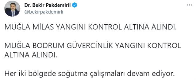 Bodrum ve Milas'tan Beklenen Haber Geldi! Yangınlar Kontrol Altına Alındı - Resim: 1