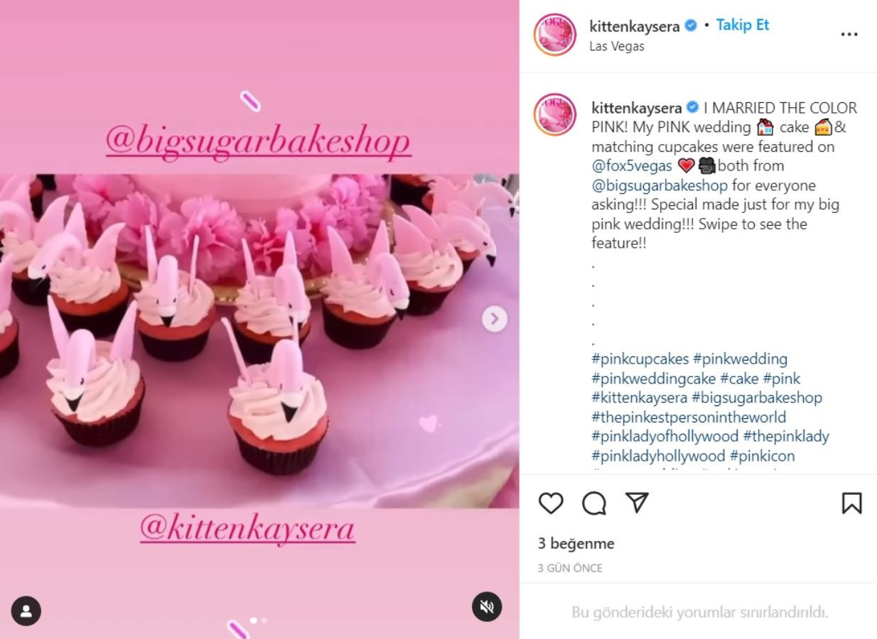 Flörtleri Mutsuz Etti, ABD'li Kadın Pembe Renkle Evlendi - Resim: 1