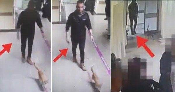 Sabah ve Hürriyet'in acil servisteki kedi kavgası - Resim: 2