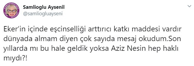 Oyuncu Ayşenil Şamlıoğlu: Yoksa Aziz Nesin hep haklı mıydı? - Resim: 1