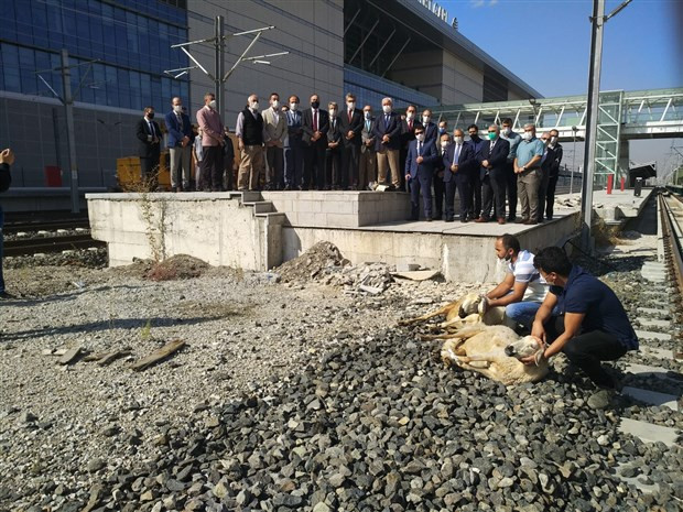 TCDD yöneticileri artan tren kazalarına karşı kurban kesip toplu dua ettiler - Resim: 1