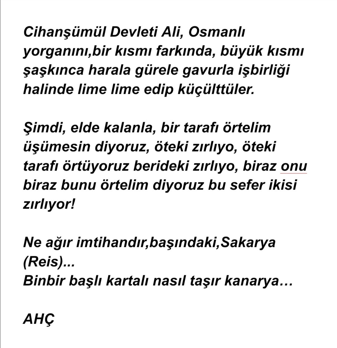 AKP'nin Yelizi Çamlı'dan Erdoğan'a ilginç mektup - Resim: 2