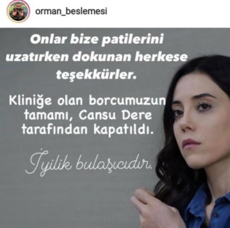 Cansu Dere sokak hayvanlarının veteriner masrafını üstlendi - Resim: 1