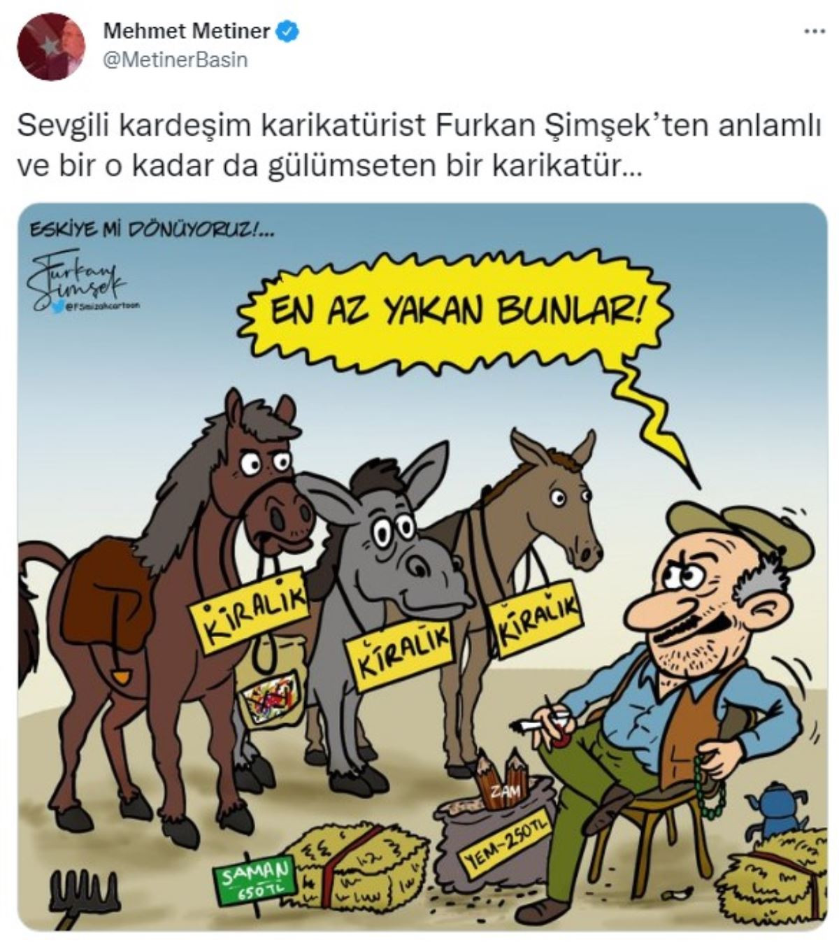 AKP'li Metiner'den Eşekli Karikatürle Zam Tepkisi - Resim: 1