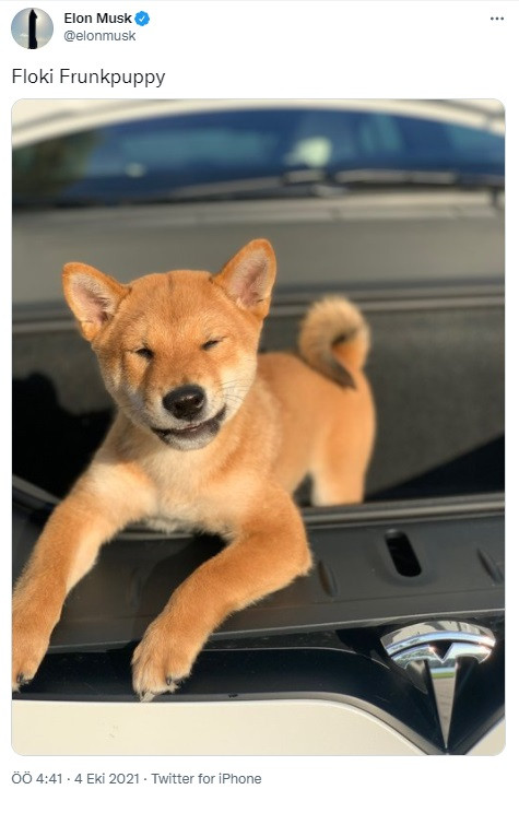 Elon Musk'ın Fotoğrafını Paylaştığı Kripto Para Birimi Rekor Kırdı - Resim: 1