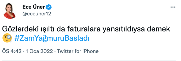 Ece Üner'den Bakan Nebati Göndermesi: Gözlerdeki Işıltı Faturalara Yansımış - Resim: 2