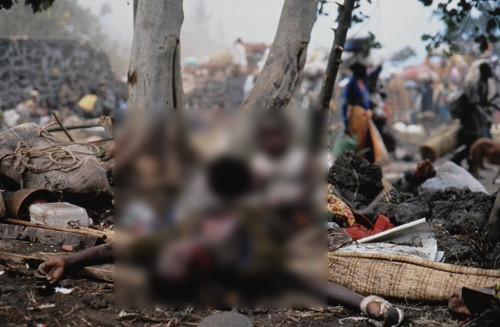 Sosyal medyada Arakan diye paylaşılmıştı, gerçek farklı çıktı - Resim: 6