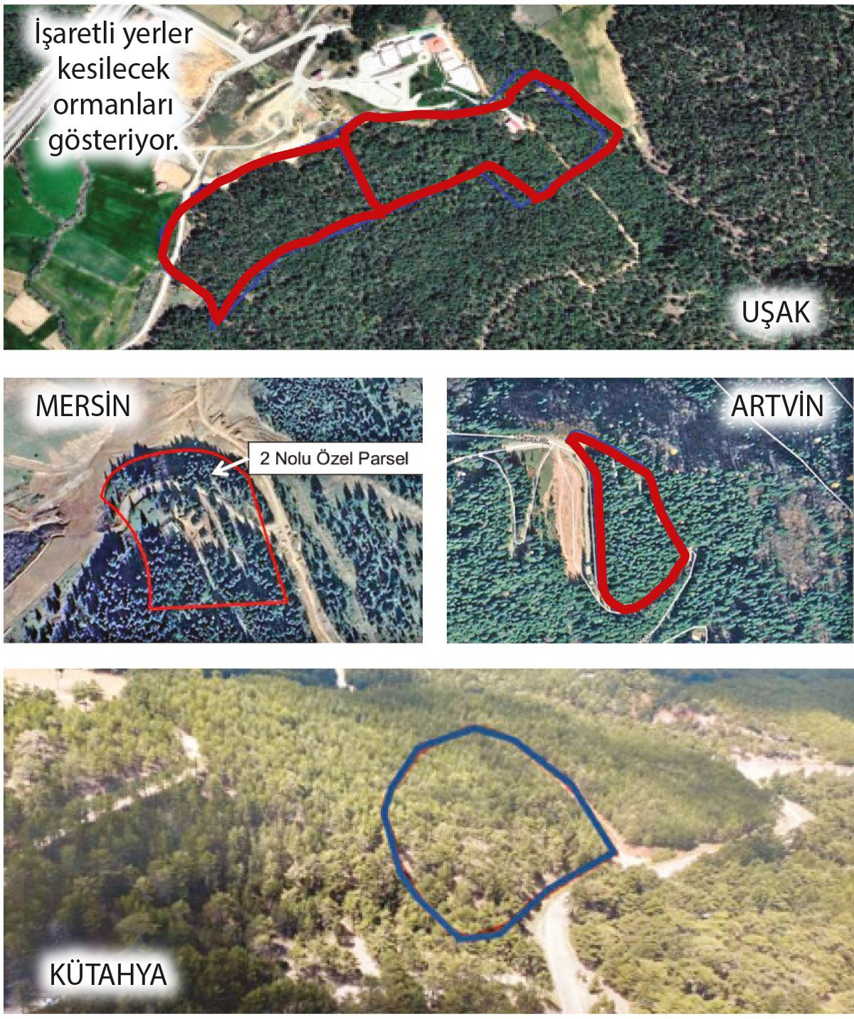 Uydu Fotoğrafları Ortaya Çıktı: Ormanlık Alanlar Turizme Açılmış - Resim: 1