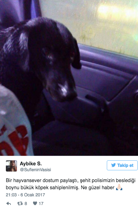 Şehit polis Fethi Sekin'i bekliyordu; boynu bükük köpek yuva buldu - Resim: 2