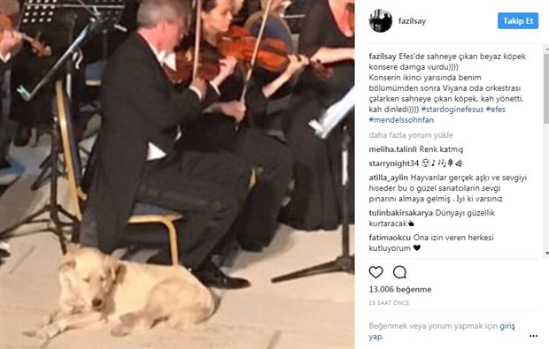 Fazıl Say konserinde bir köpek - Resim: 1